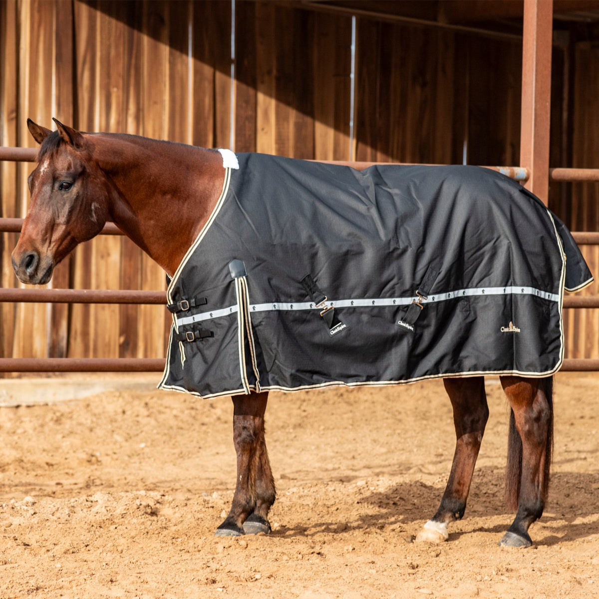 Classic Equine 5K Cross Trainer Blanket - Black