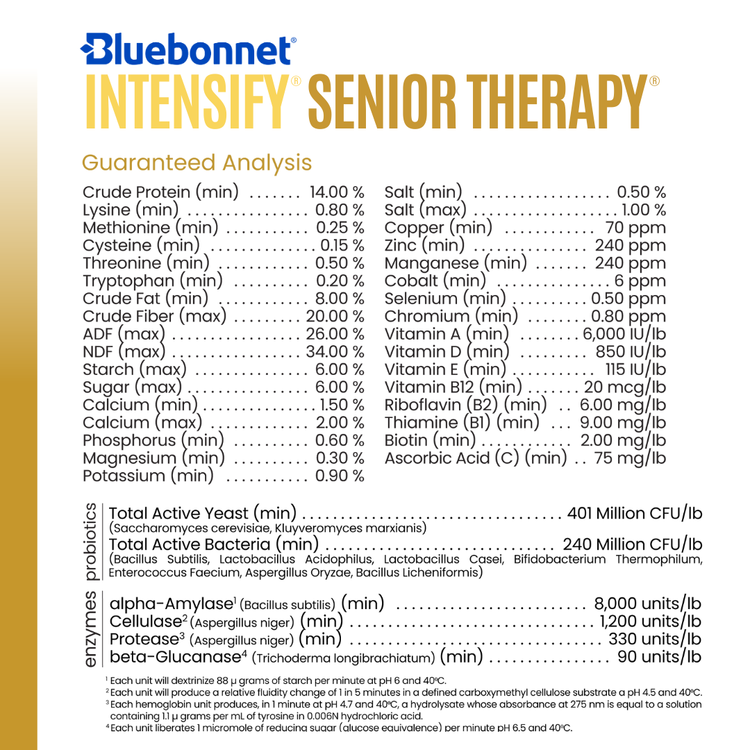 BLUEBONNET INTENSIFY SENIOR THERAPY