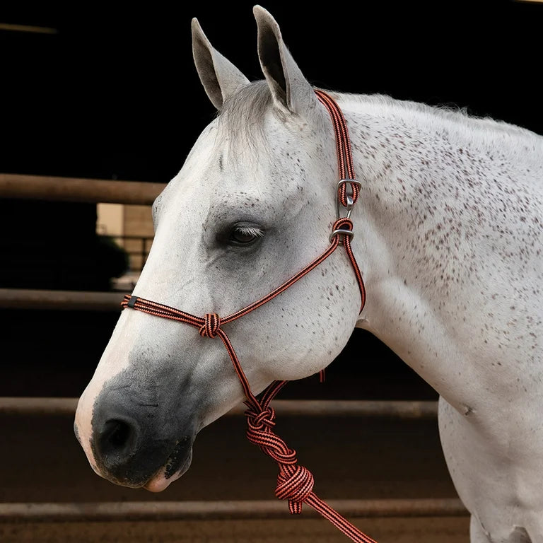 PROFESSIONALS CHOICE EASY ON ROPE HALTER