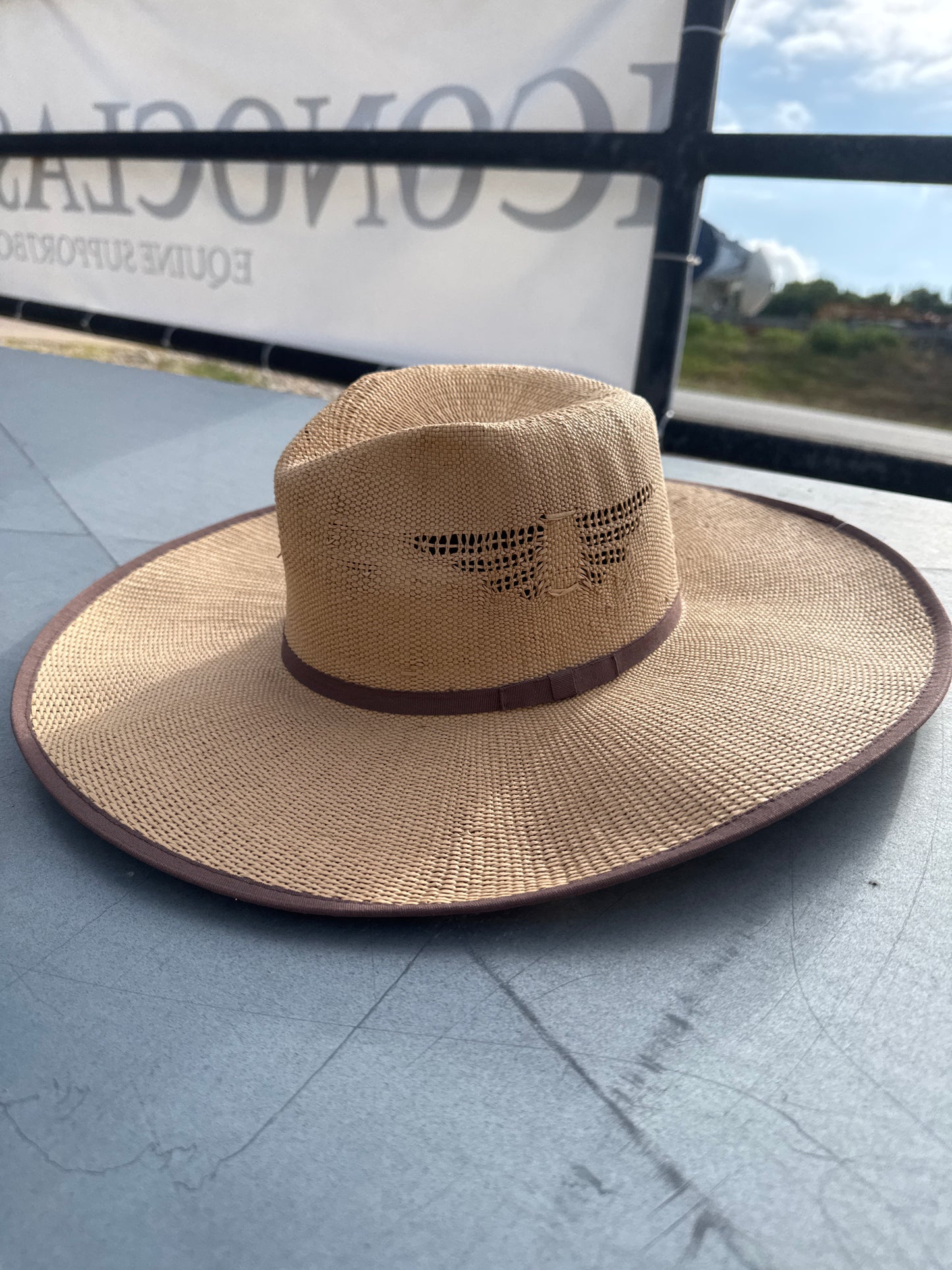 Flat Brim Hat w/ thunderbird