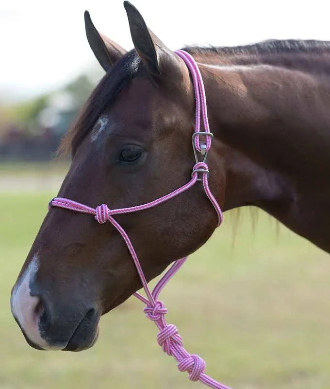 PROFESSIONALS CHOICE EASY ON ROPE HALTER