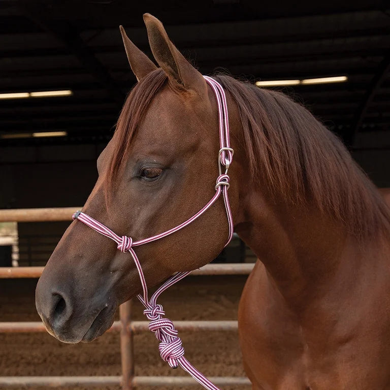 PROFESSIONALS CHOICE EASY ON ROPE HALTER