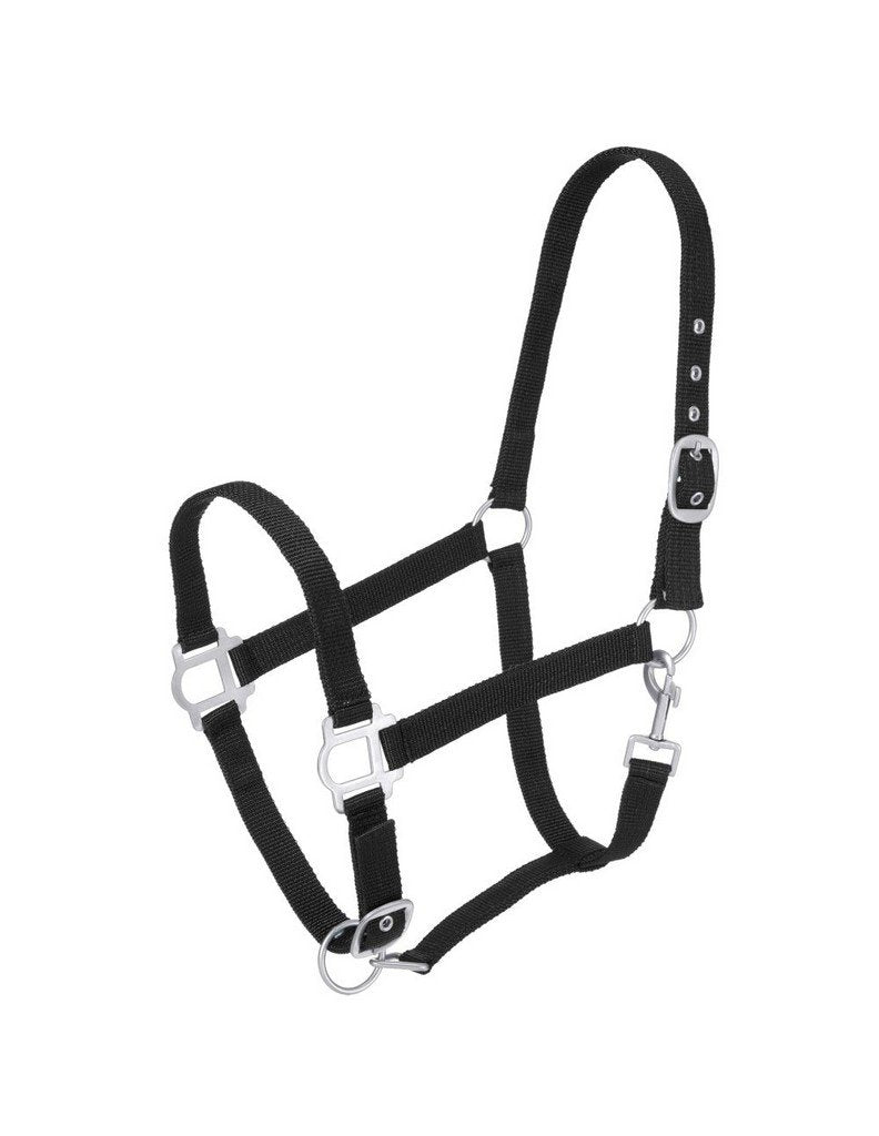Tough 1 Nylon Pony Halter with Satin Hardware