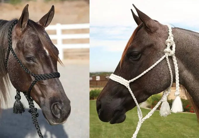 COWBOY BRAIDED ROPE HALTER