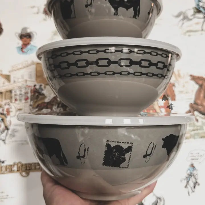Angus Melamine Bowl Set with Plastic Lids, 3 Pieces