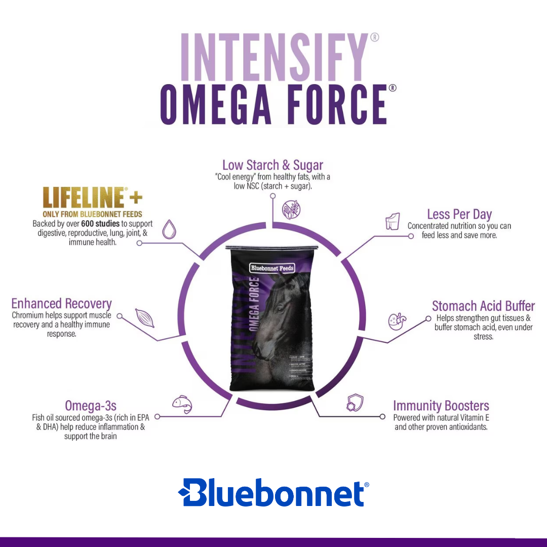Bluebonnet Intensify Omega Force ~ IN STORE ONLY!