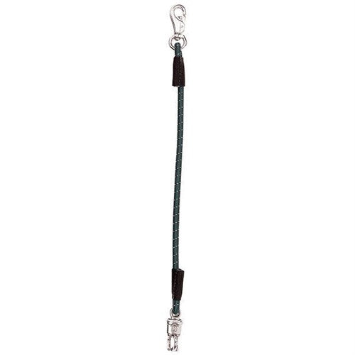 Bungee Trailer Tie