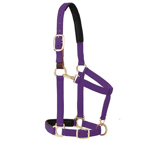 Breakaway Padded Adjustable Average Halter