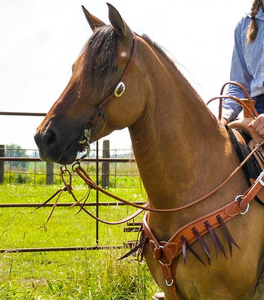 Border Tooled Bleed Knot Pony BC
