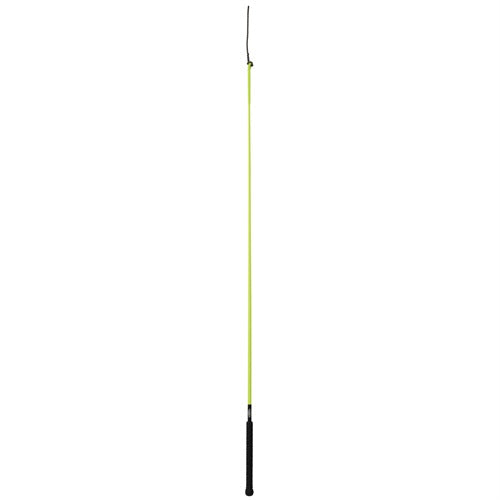 Whip with Replaceable Popper