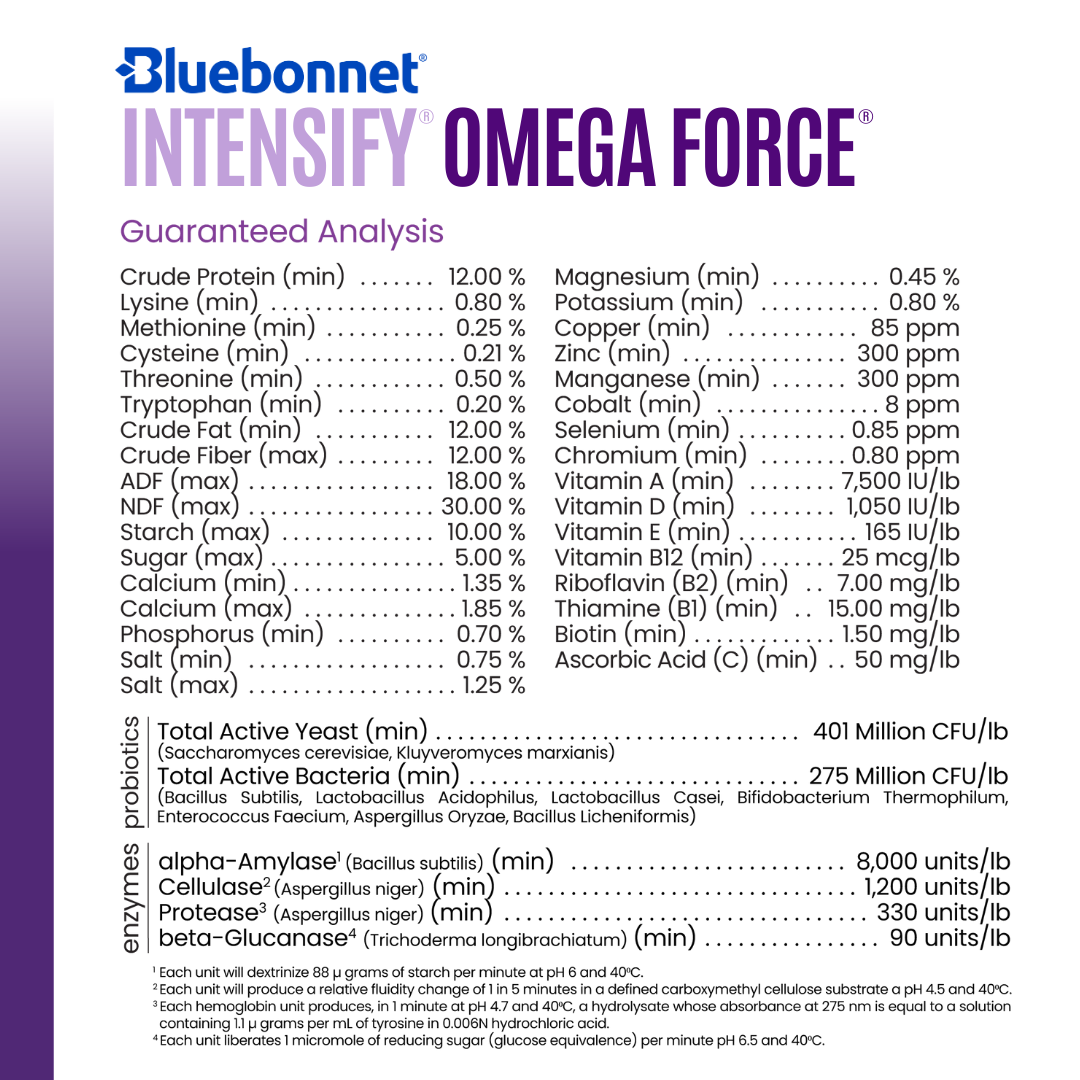 Bluebonnet Intensify Omega Force ~ IN STORE ONLY!