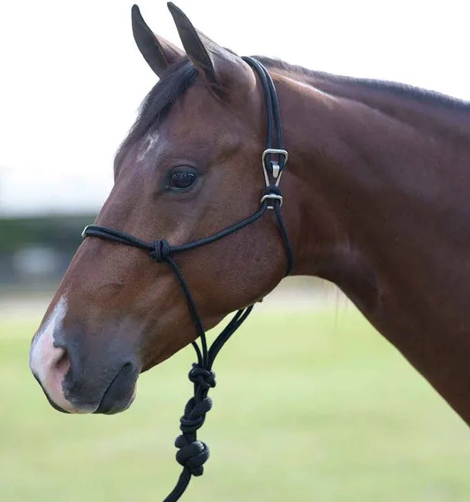 PROFESSIONALS CHOICE EASY ON ROPE HALTER