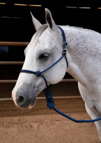 PROFESSIONALS CHOICE EASY ON ROPE HALTER