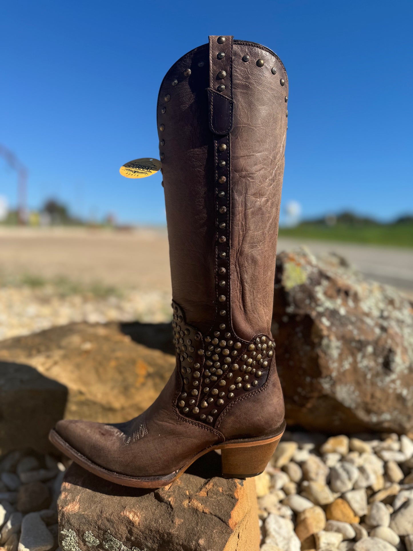 Ladies Chocolate Tall Top Studded & Zipper Pointed Toe Boot