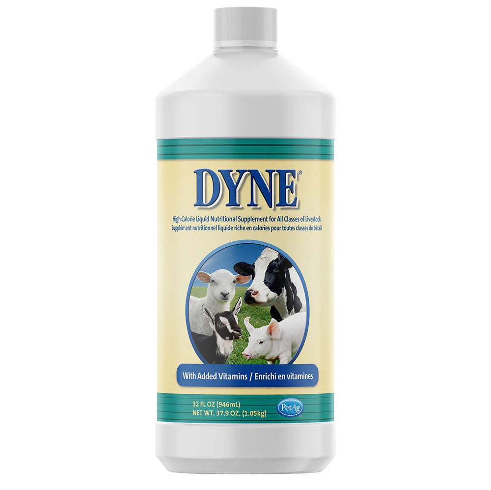 Dyne High Calorie Liquid Supplement Livestock 32 oz