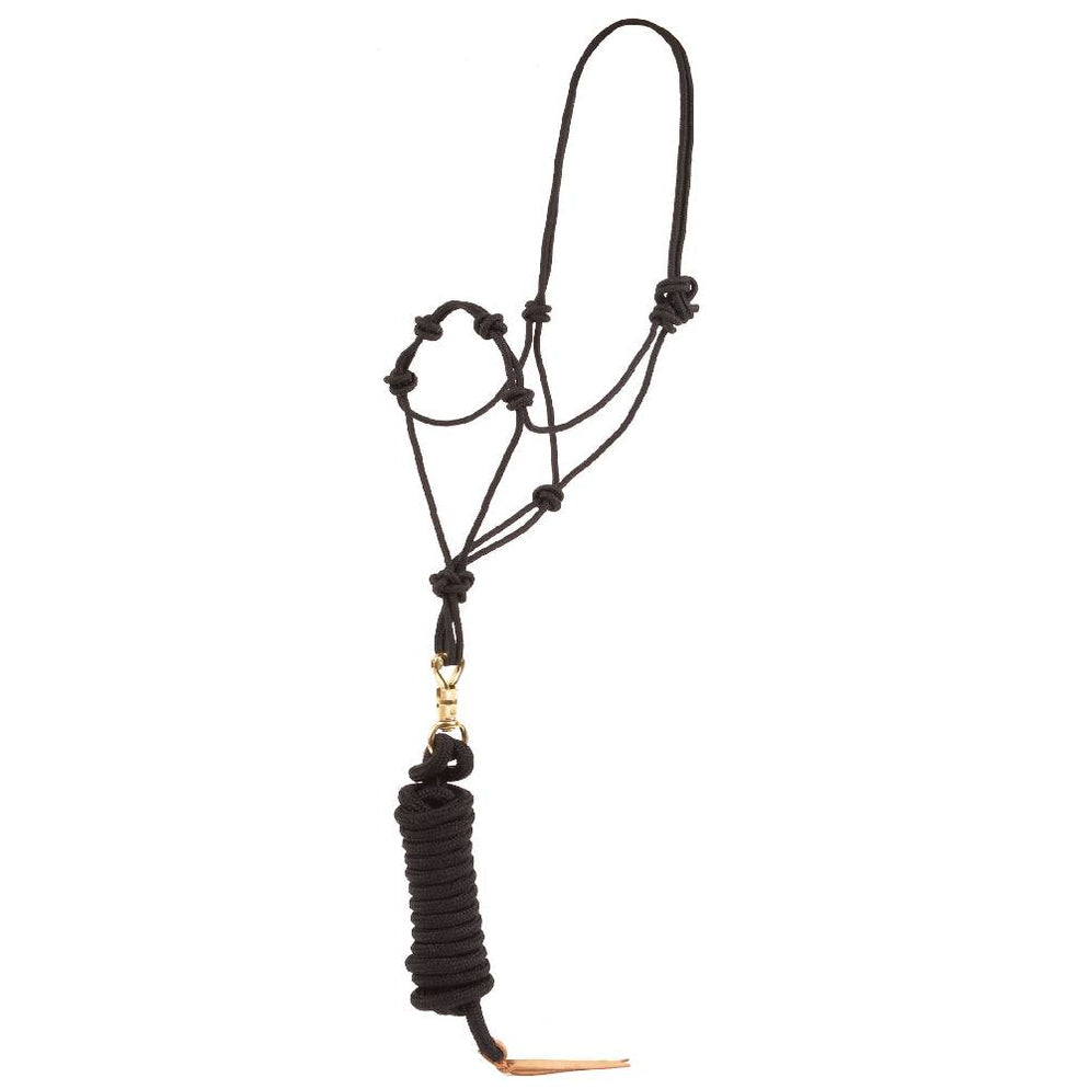 KNOTTED TRAINING HALTER - HORSEMANSHIP LEAD