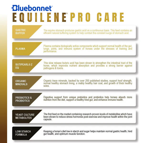 Bluebonnet Equilene Pro Care ~ IN STORE ONLY!