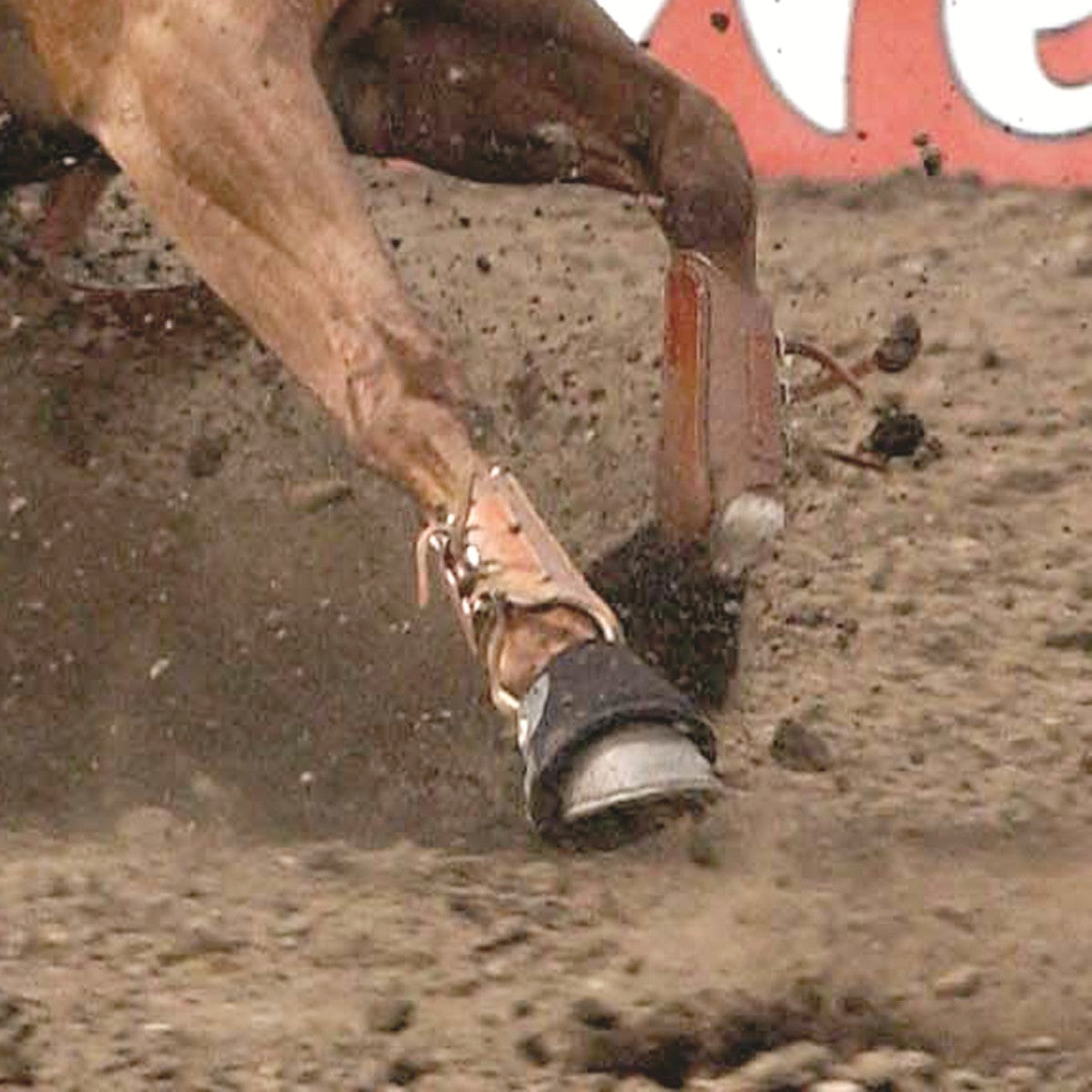 CLASSIC EQUINE NEOPRENE BELL BOOT