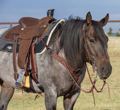 Chocolate Roughout Gunslinger 2" Contoured Breast Collar