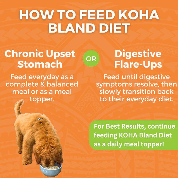 Bland Diet for Dogs: Limited Ingredient Wet Bland Diet Chicken & White Rice Recipe for Dogs