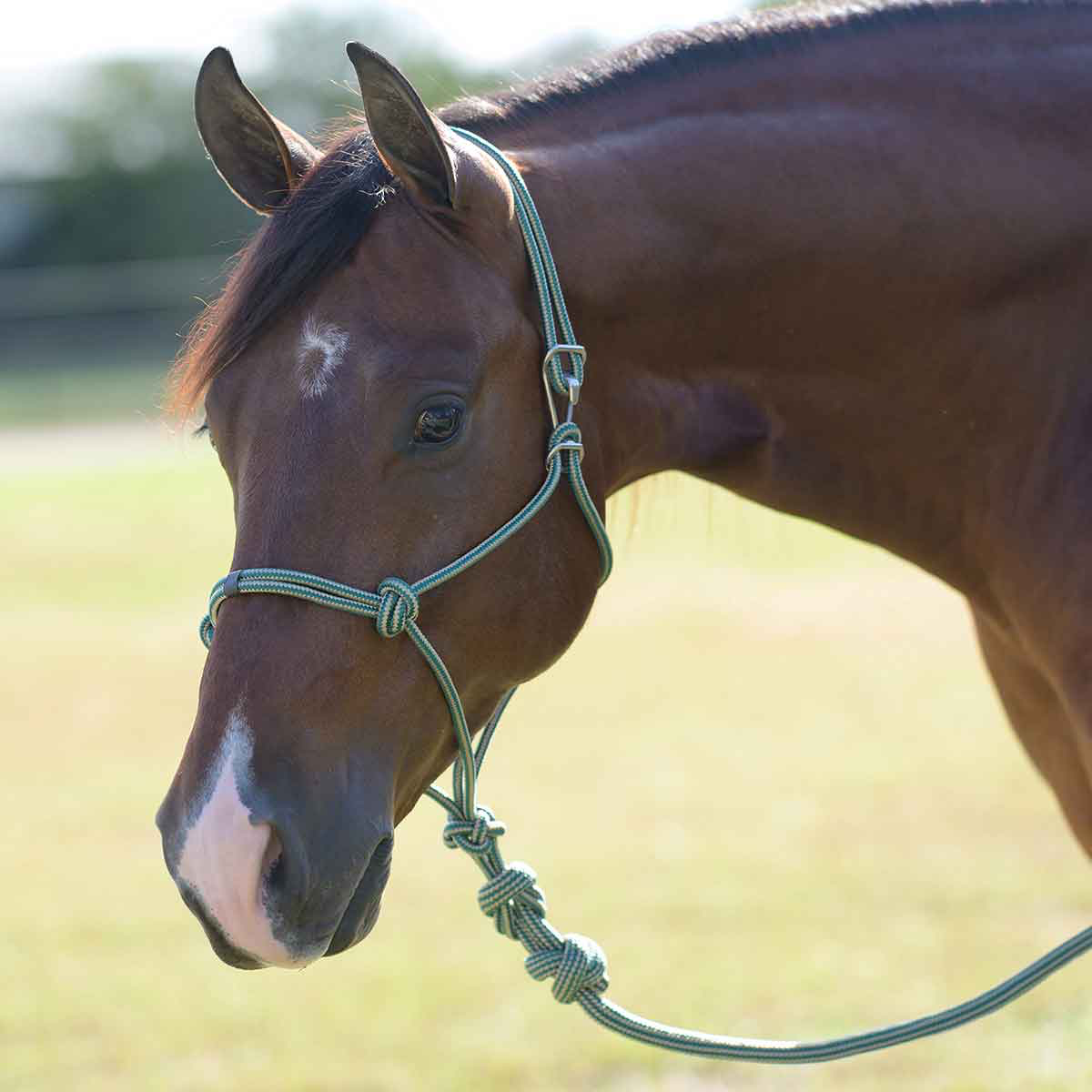 PROFESSIONALS CHOICE EASY ON ROPE HALTER