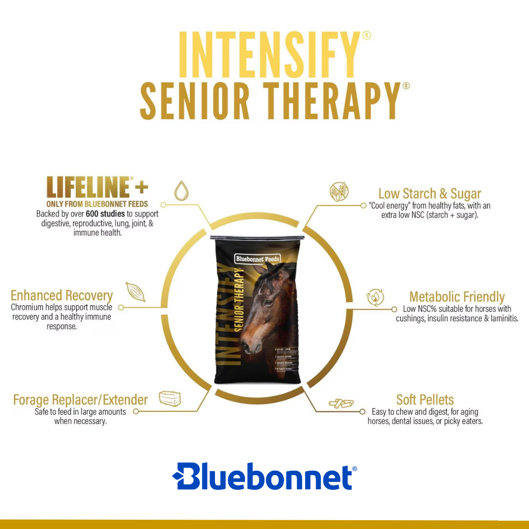 BLUEBONNET INTENSIFY SENIOR THERAPY