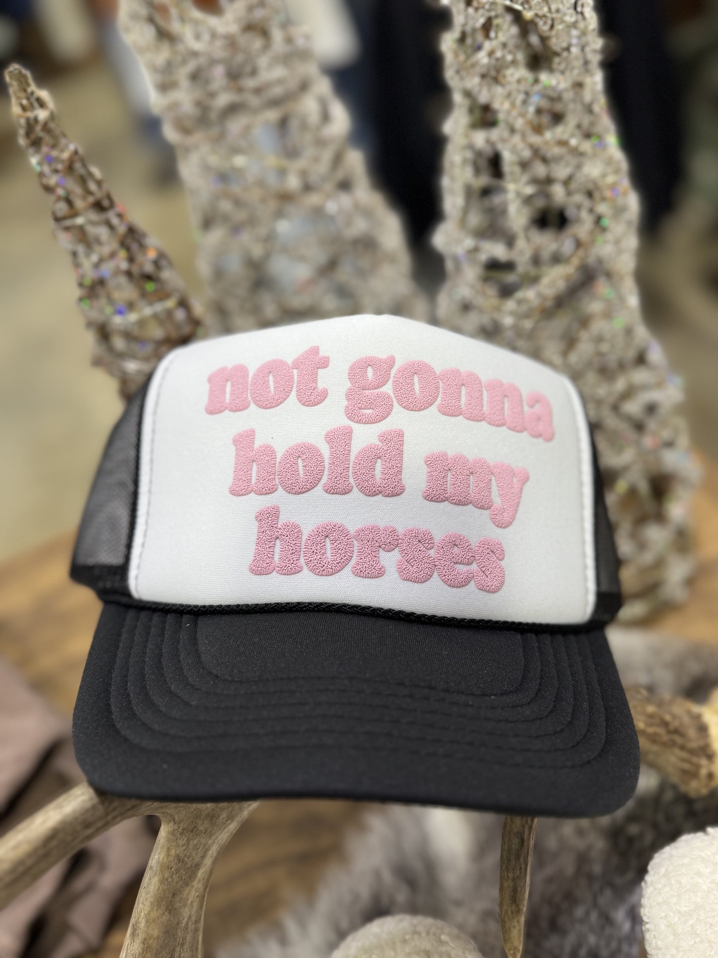 Not Gonna Hold My Horses Trucker