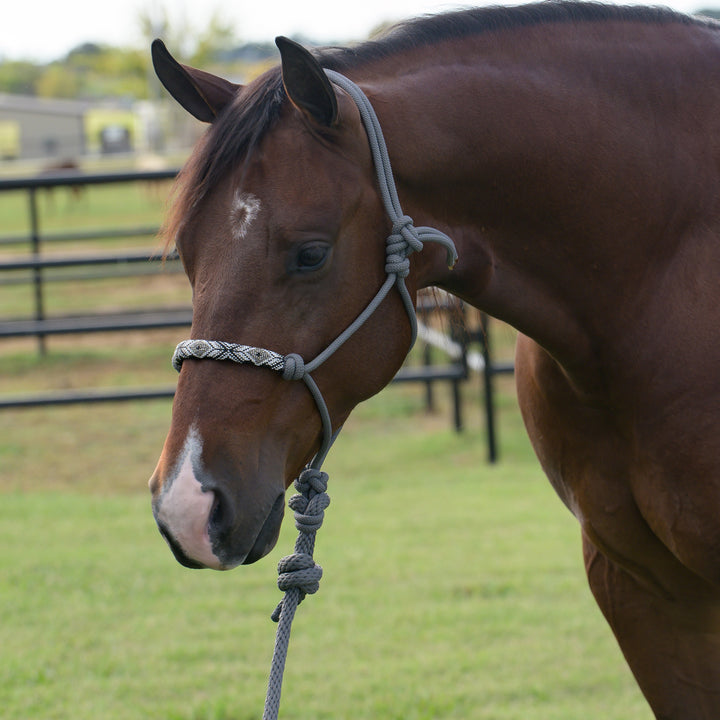 Charcoal Beaded Rope Halter