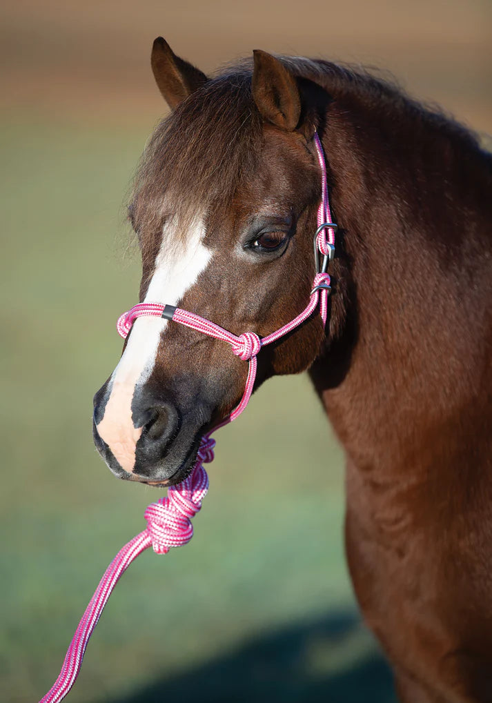 Easy on Rope Halter Mini