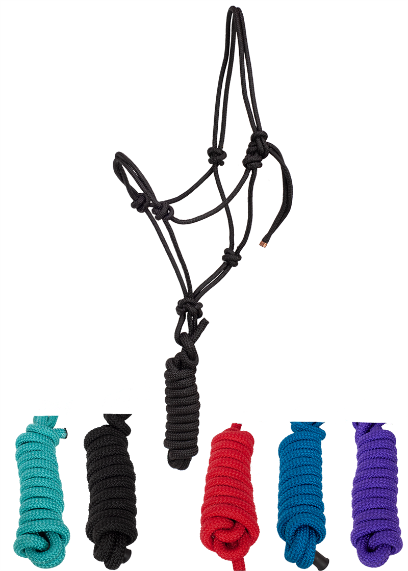 Rope Halter + Lead