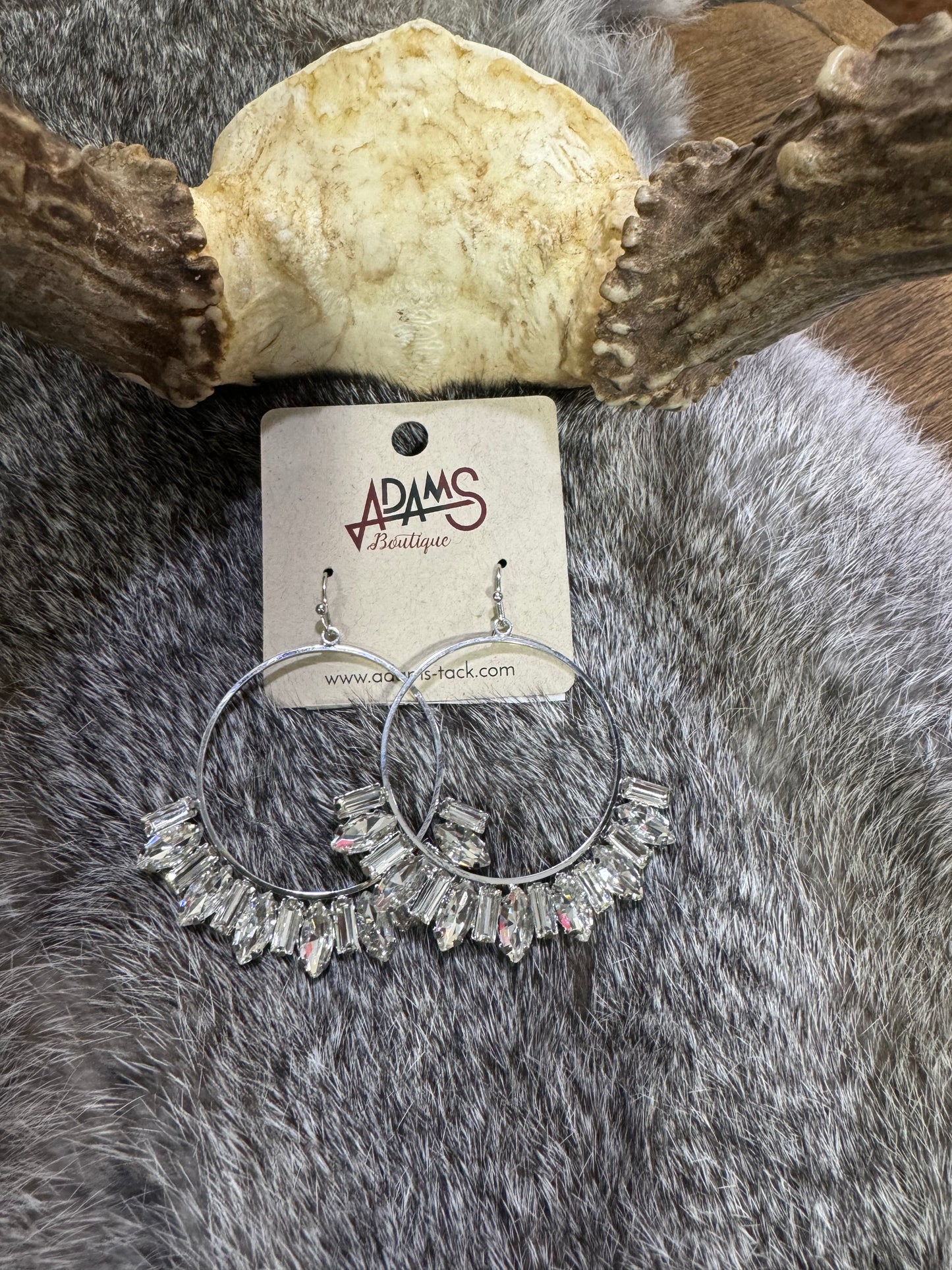 Silver Rhinestone Circle Earrings