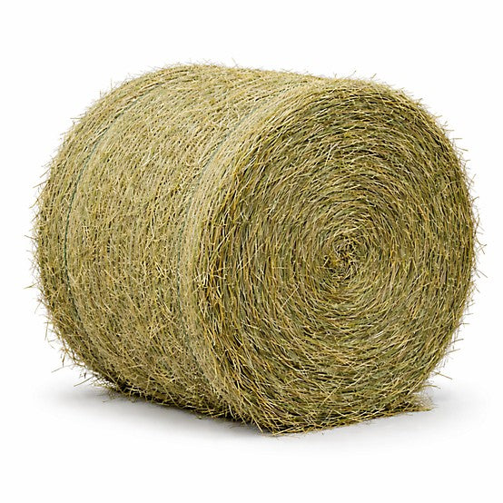 Cow Round Bale