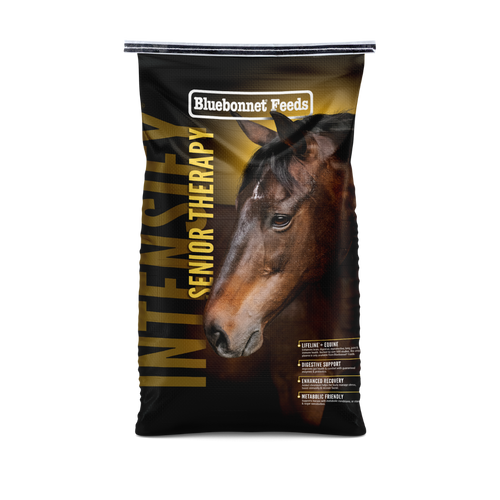 BLUEBONNET INTENSIFY SENIOR THERAPY ~ IN STORE ONLY!