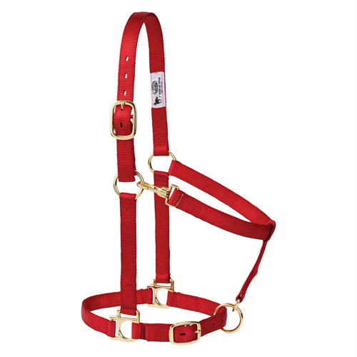 Poly Horse Halter, Adjustable, Weanling to Large