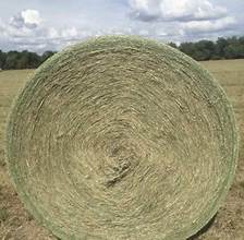 Horse Round Bales