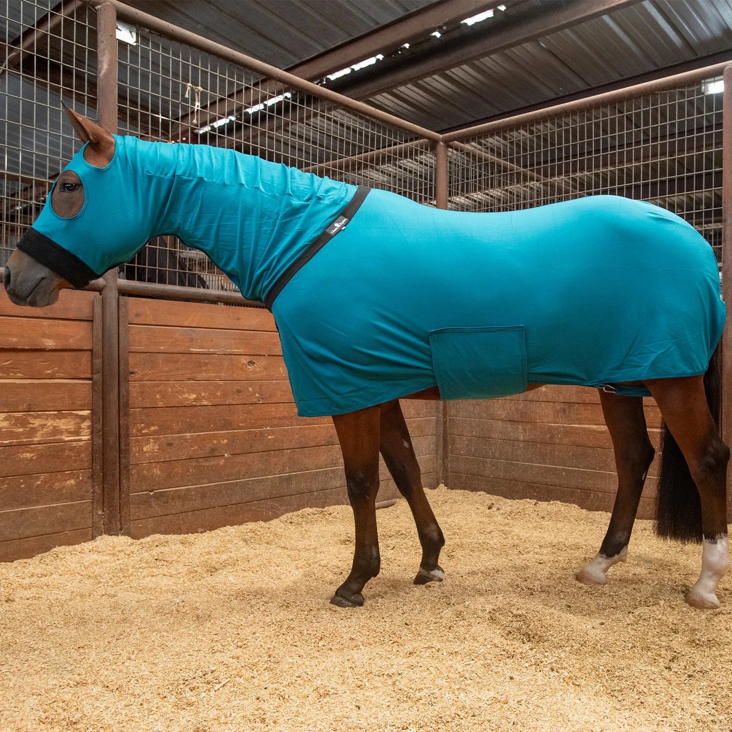 Classic Equine Full-Body Slinky - Teal Green
