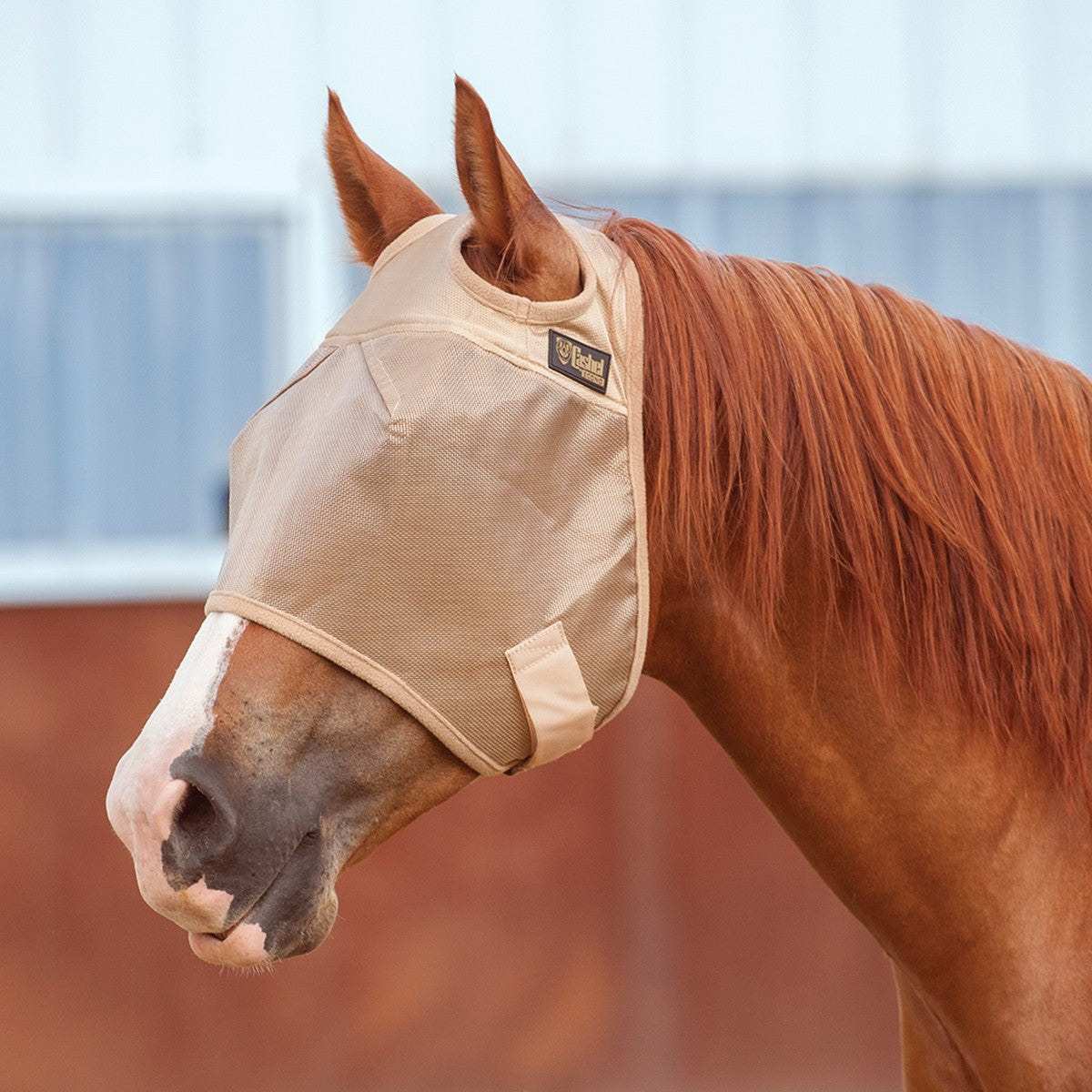 Cashel Eco Standard Fly Mask
