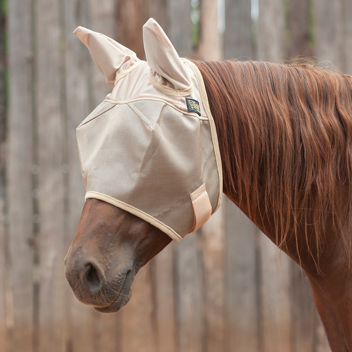 Cashel Eco Standard Fly Mask