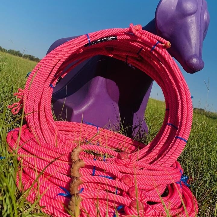 Willard 4x4 Pink Panther