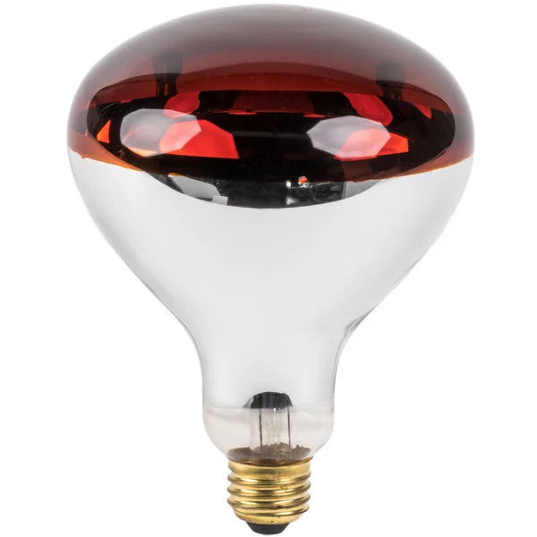 Little Giant 250W Red Bulb for Brooder Lamp