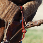TIE DOWN HOBB W/ BUTTON KNOT
