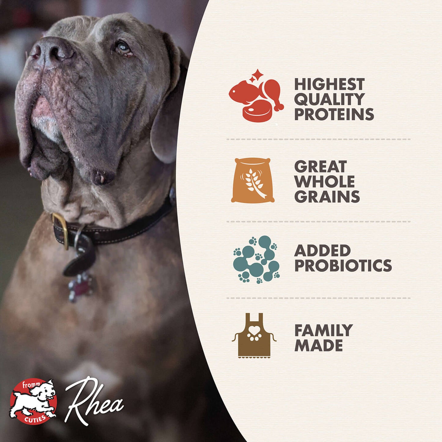 Fromm CLASSIC ADULT LARGE & GIANT BREED Dog 30 lb.
