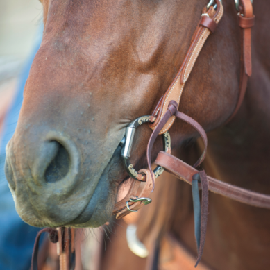 Floral Scroll Tool Box D-Ring Bit with Smooth Bar