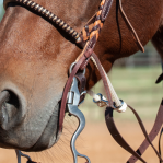 Replacement Latigo Tie Strings (10-pack)