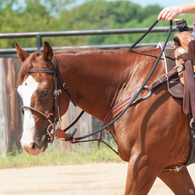 Phil Haugen Braided Rope Rein