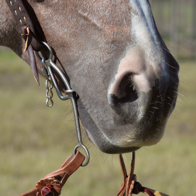 Game Changer Shank Barrel Bit with Square Bar Copper Roller Dogbone