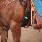 Classic Equine Aura Cinch, Roper