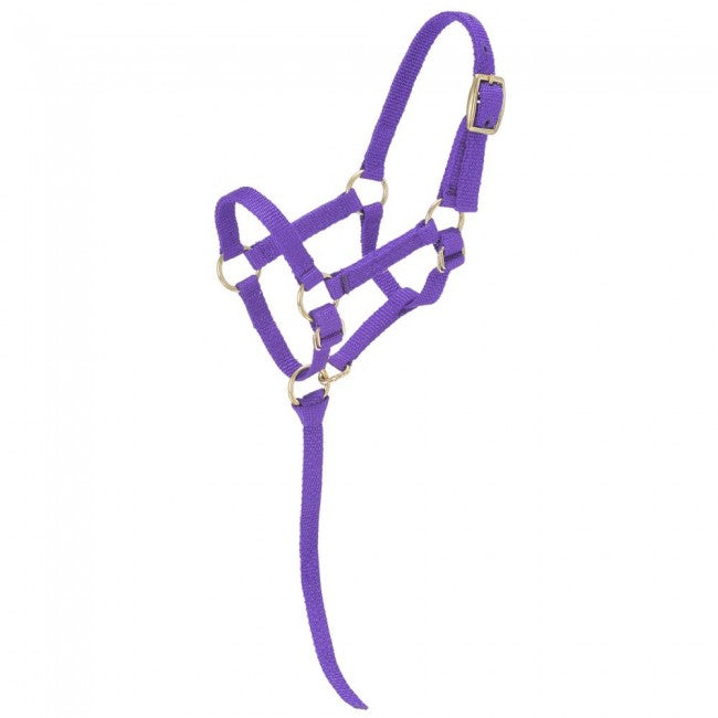 Tough-1 Miniature Nylon Halter