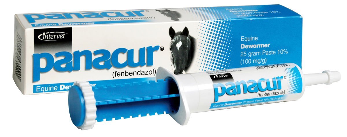 Panacur Equine Dewormer Paste 25 g