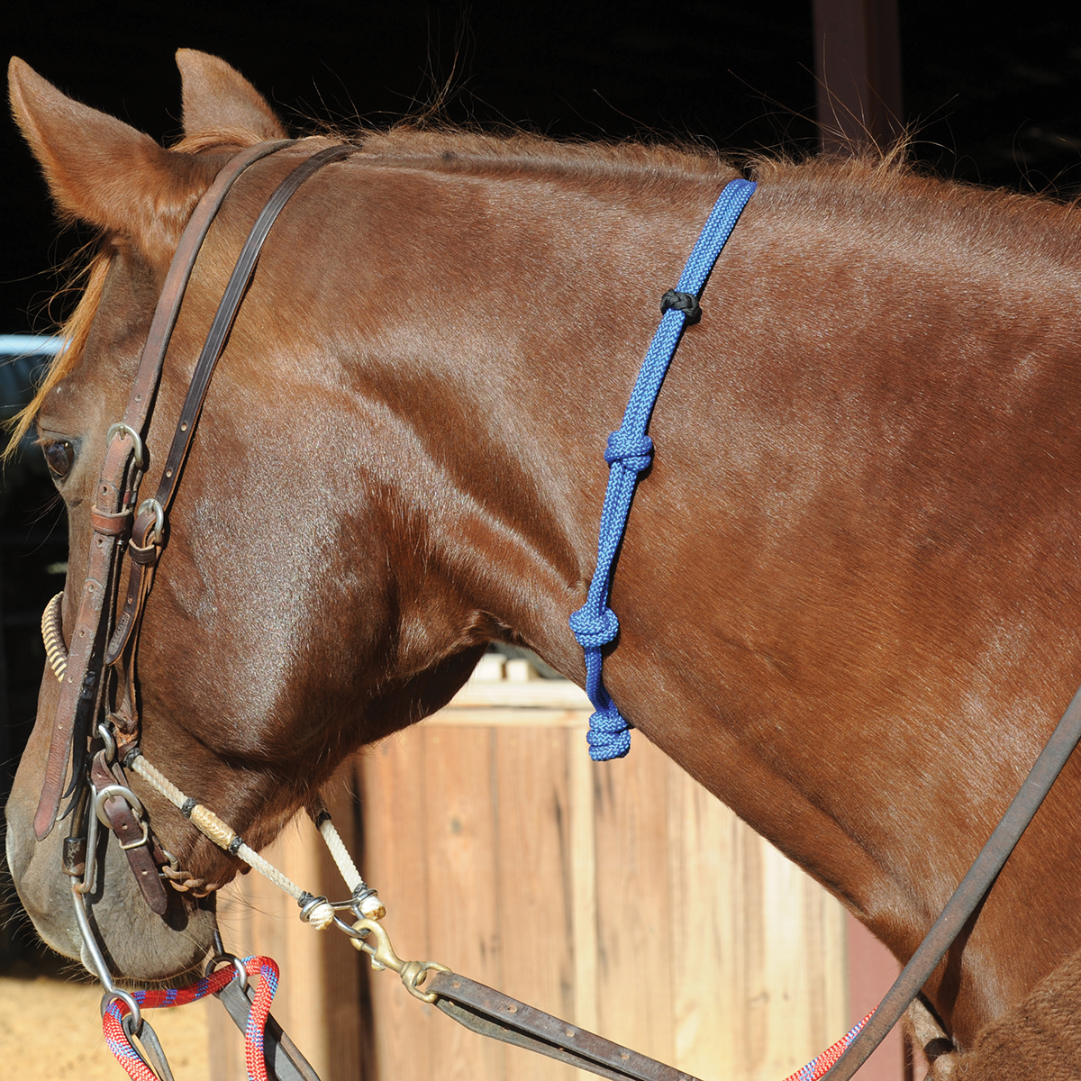 Rattler Neck Rope